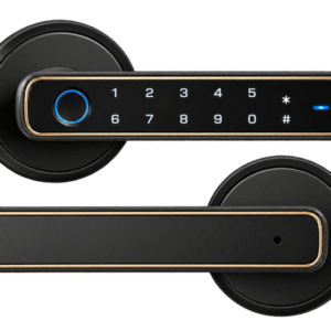 Poignée de Porte Intelligente Smart Lock
