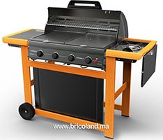 Barbecue à gaz Adelaide 4 Woody L DLX - Campingaz