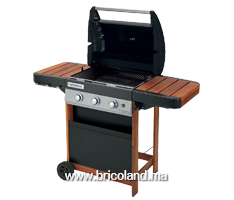 Barbecue à gaz 3 series Woody LD - Campingaz