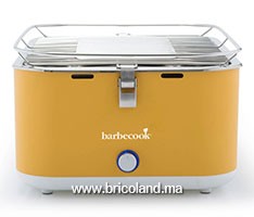 Barbecue au charbon avec ventilateur Carlo - BARBECOOK