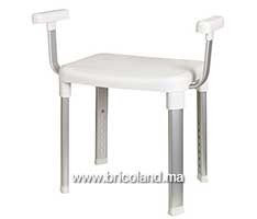 Chaise de salle de bain avec accoudoirs