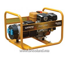Groupe électrogène essence 4 KVA EXPERT 4010 X - WORMS