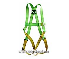 Harnais de sécurité avec ceinture