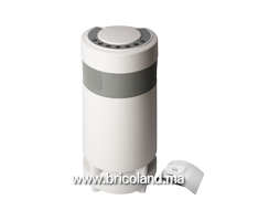 Totems musicaux T100 W - Ocedis