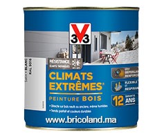 Peinture bois Climats Extrêmes Satin 0.5L - V33