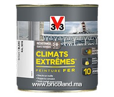 Peinture fer Climats Extrêmes Brillant 0.5L - V33