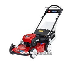 Tondeuse thermique tractée 20339 Recycler - 55cm - Toro