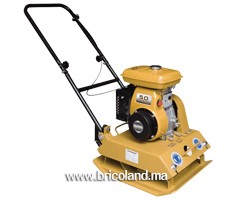 Compacteur à plaque vibrante T120 - Robin EY20 - JORHSON