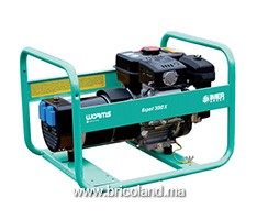 Groupe électrogène essence 3 kVA Expert 3010 X - WORMS