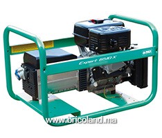 Groupe électrogène essence 6.5 kVA Expert 6510 X - WORMS