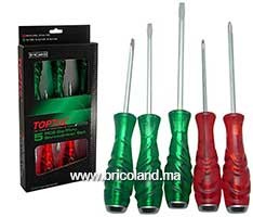 Jeu de tournevis 5PCS GAAE0506 - TOPTUL