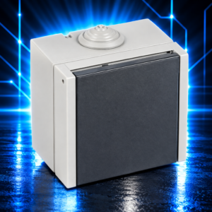 Prise Socle Saillie Plexo 3P+T 20 A – Legrand 55705